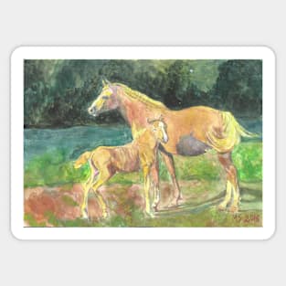 Colorful horses Sticker